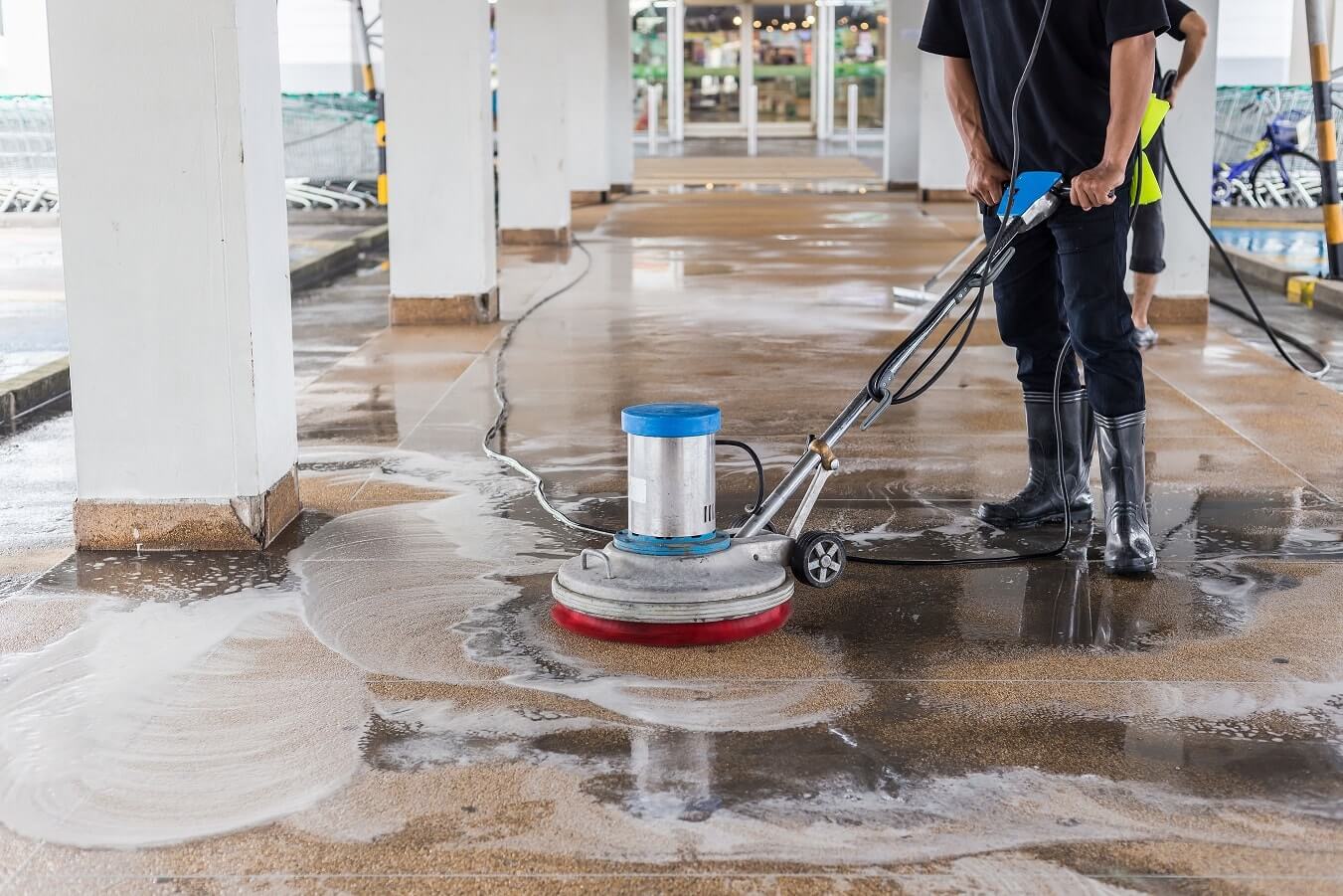 五分鐘告訴你如何處理家中的白蟻-台南清潔公司的清除方法大解析
